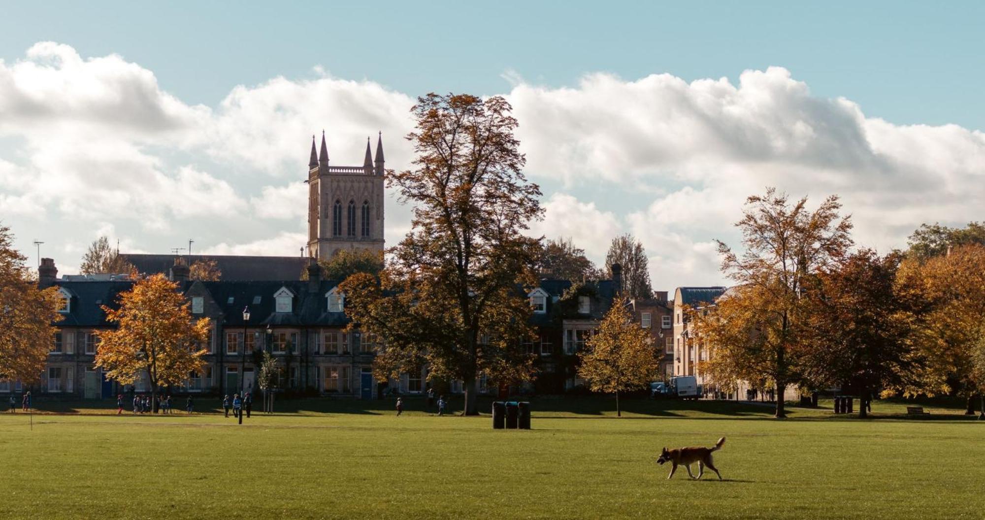 Cambridge Stays - Apartment At Addenbrooke Hospital And Bio Campus - Free Private Parking Esterno foto